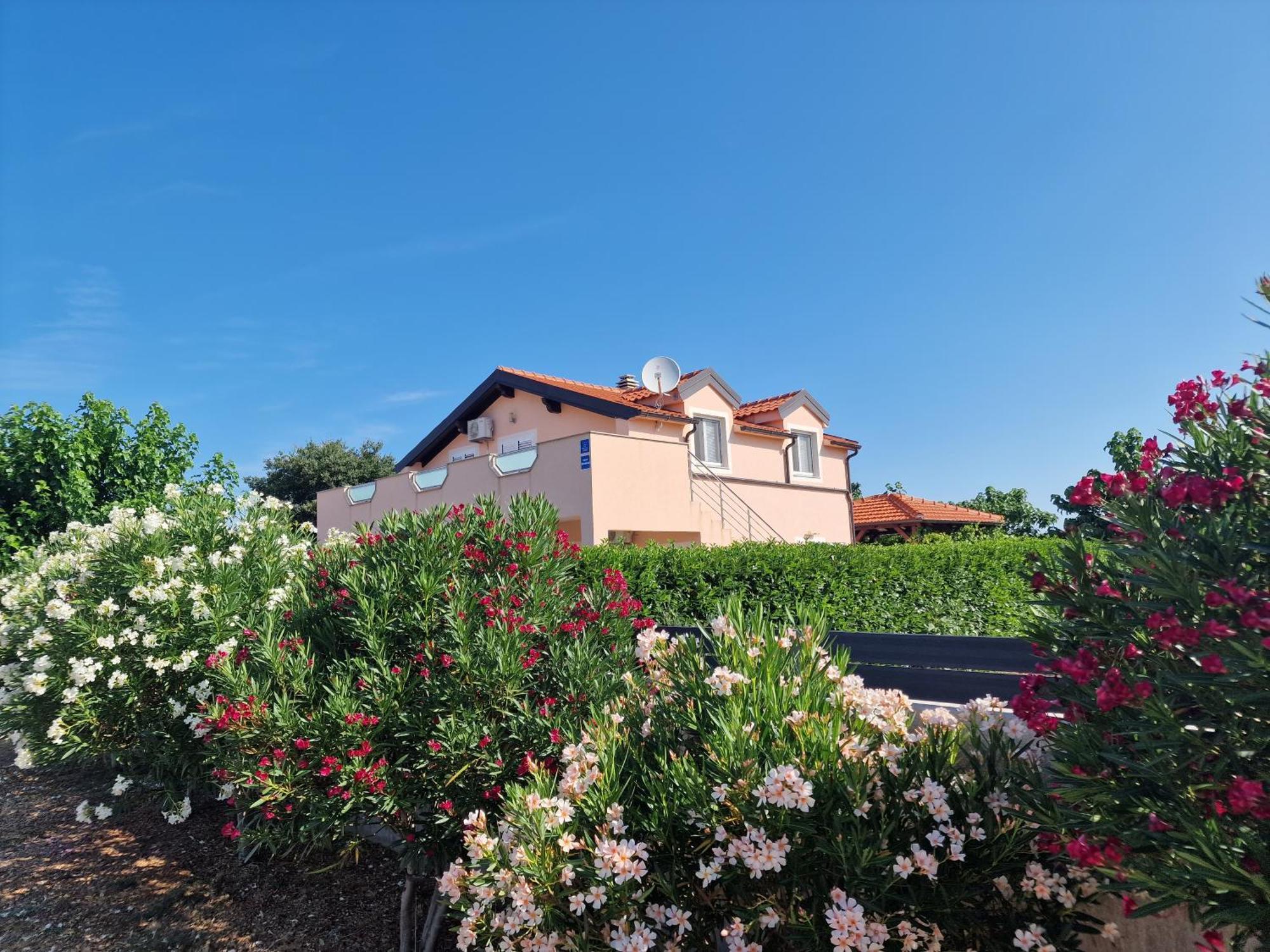 Villa Verbena Mala Cista Extérieur photo